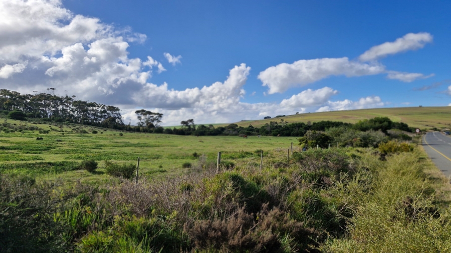 Commercial Property for Sale in Baardskeerdersbos Western Cape